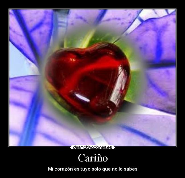 Cariño - 