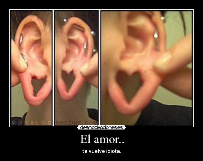 El amor.. - 