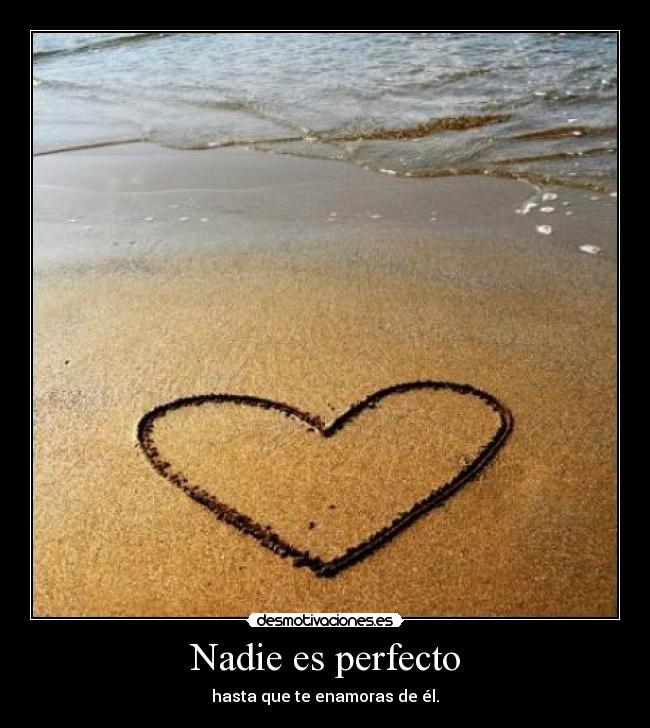 Nadie es perfecto -