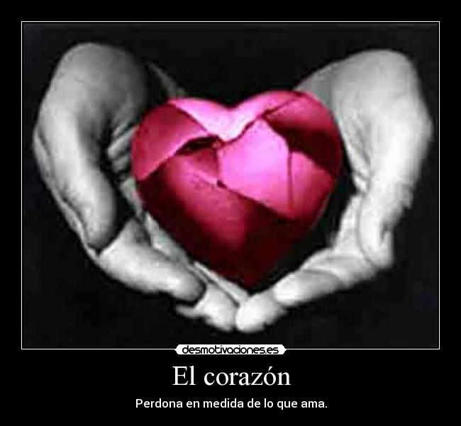 El corazón - Perdona en medida de lo que ama.