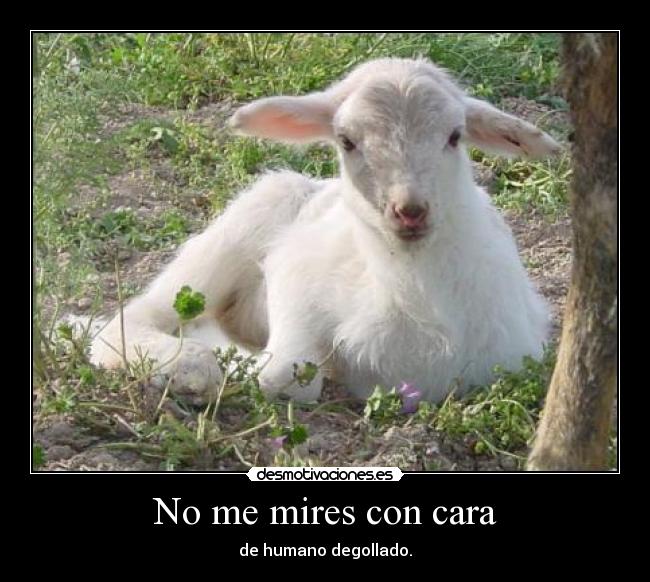 No me mires con cara - de humano degollado.