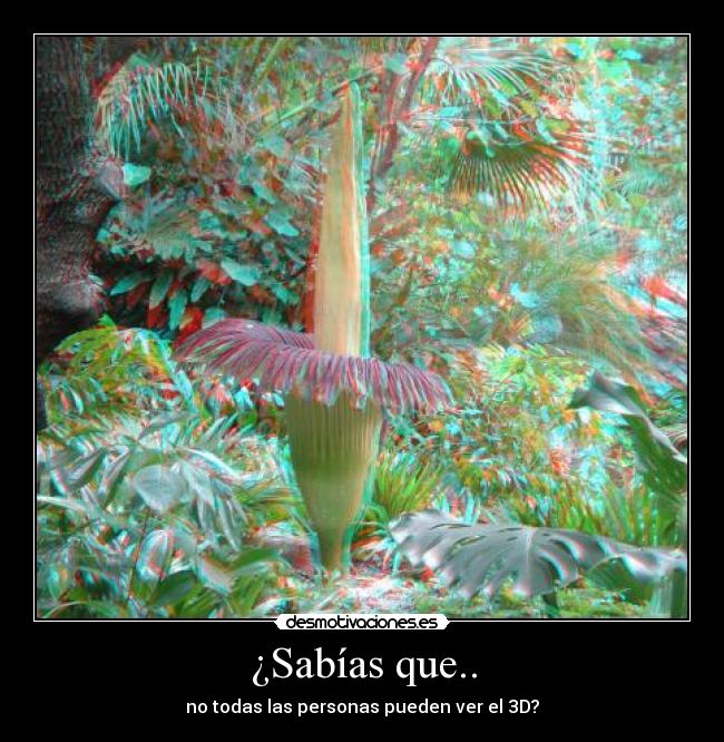 ¿Sabías que.. - no todas las personas pueden ver el 3D?