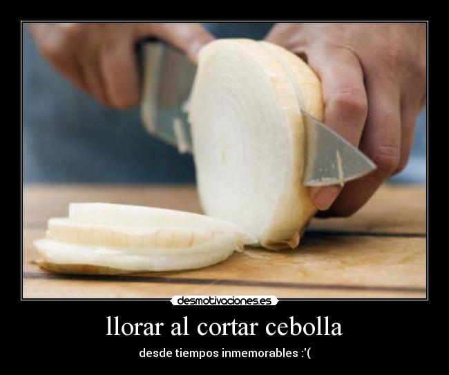 llorar al cortar cebolla - desde tiempos inmemorables :(