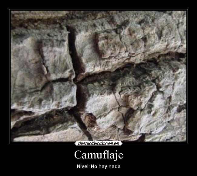 Camuflaje - 