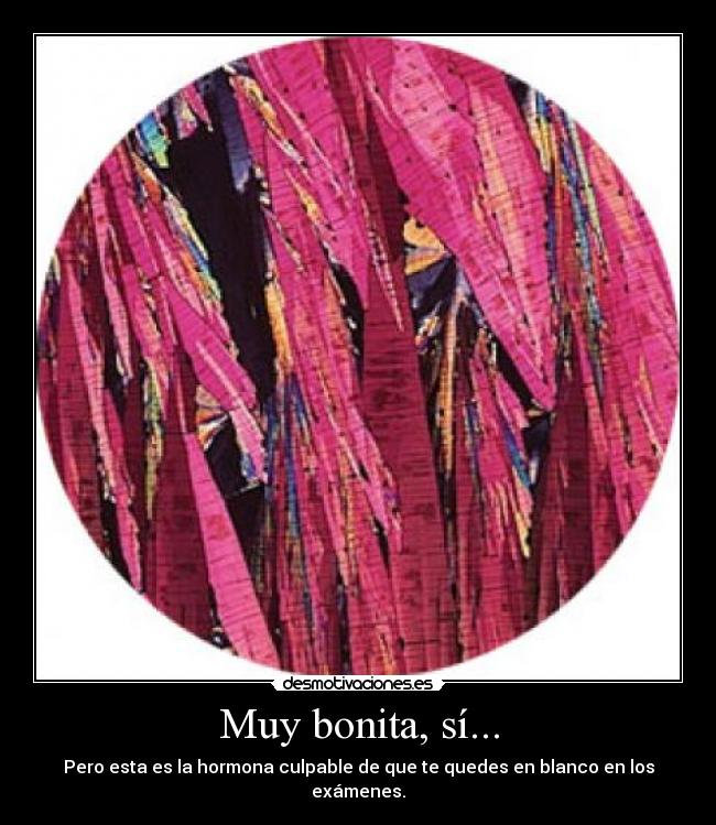 Muy bonita, sí... - 
