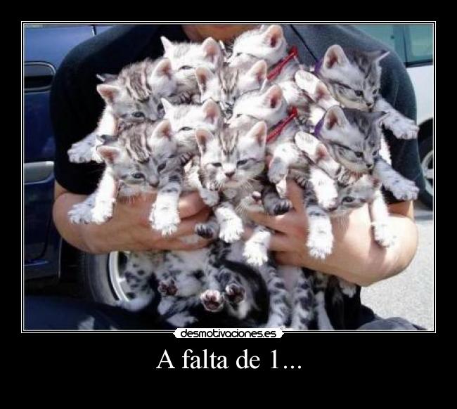 A falta de 1... - 