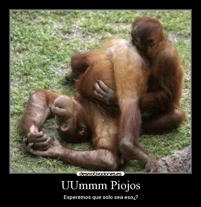 UUmmm Piojos - Esperemos que solo sea eso¿?