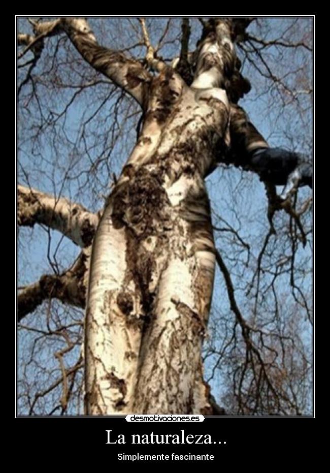 La naturaleza... - Simplemente fascinante