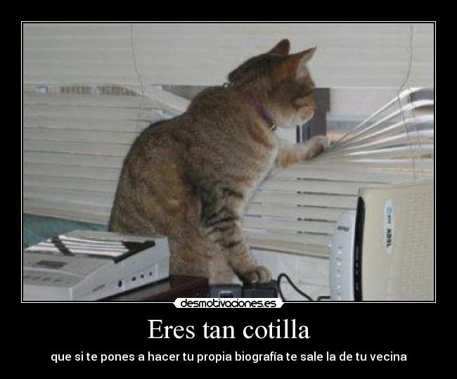 Eres tan cotilla -