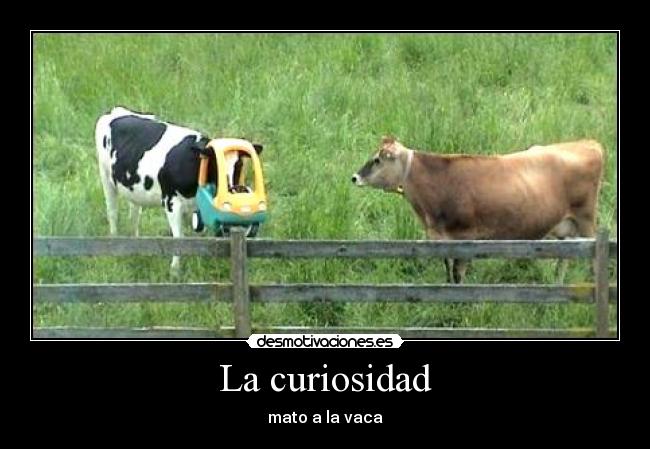 La curiosidad -