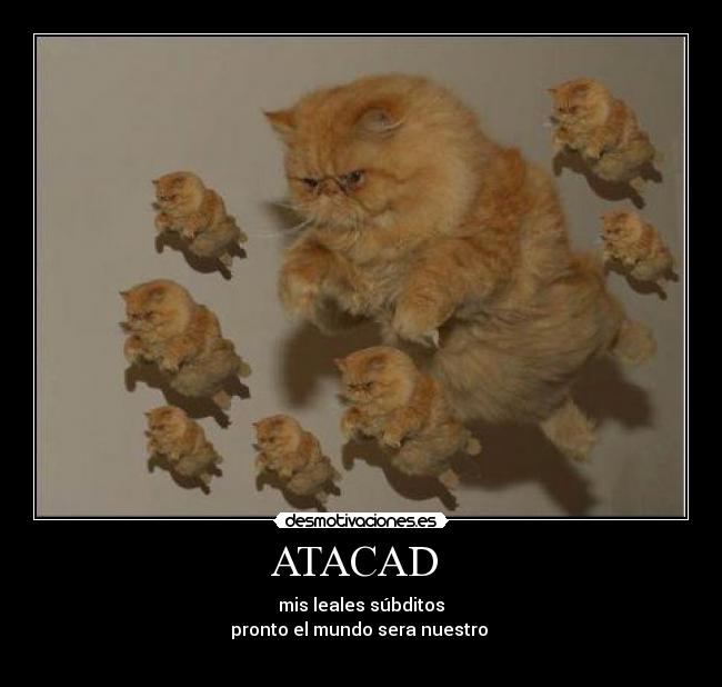 ATACAD  - 