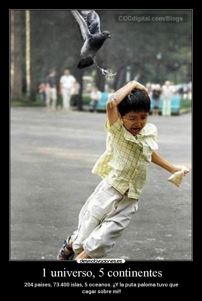 1 universo, 5 continentes - 204 paises, 73.400 islas, 5 oceanos. ¡¡Y la puta paloma tuvo que cagar sobre mi!!