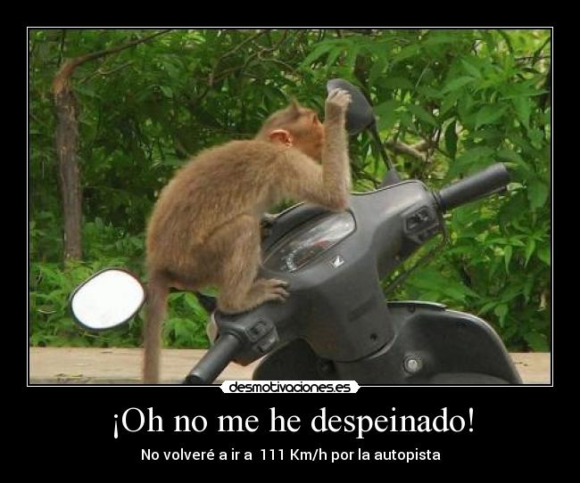 ¡Oh no me he despeinado! - 