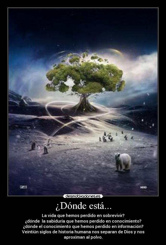¿Dónde está... - La vida que hemos perdido en sobrevivir?
¿dónde la sabiduría que hemos perdido en conocimiento?
¿dónde el conocimiento que hemos perdido en información?
Veintiún siglos de historia humana nos separan de Dios y nos aproximan al polvo.
