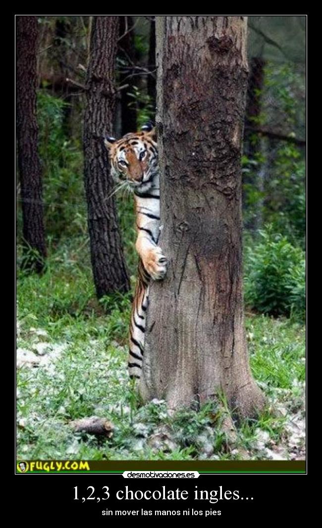 1,2,3 chocolate ingles... - sin mover las manos ni los pies