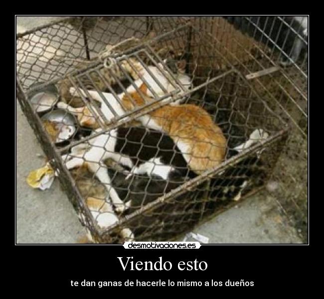 Viendo esto - te dan ganas de hacerle lo mismo a los dueños