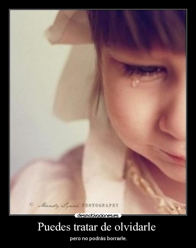 Puedes tratar de olvidarle  - pero no podrás borrarle.