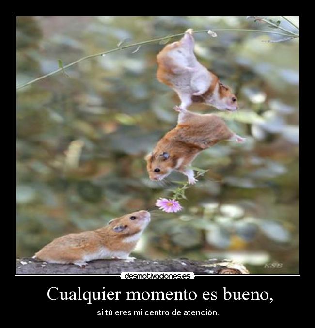  Cualquier momento es bueno, - 