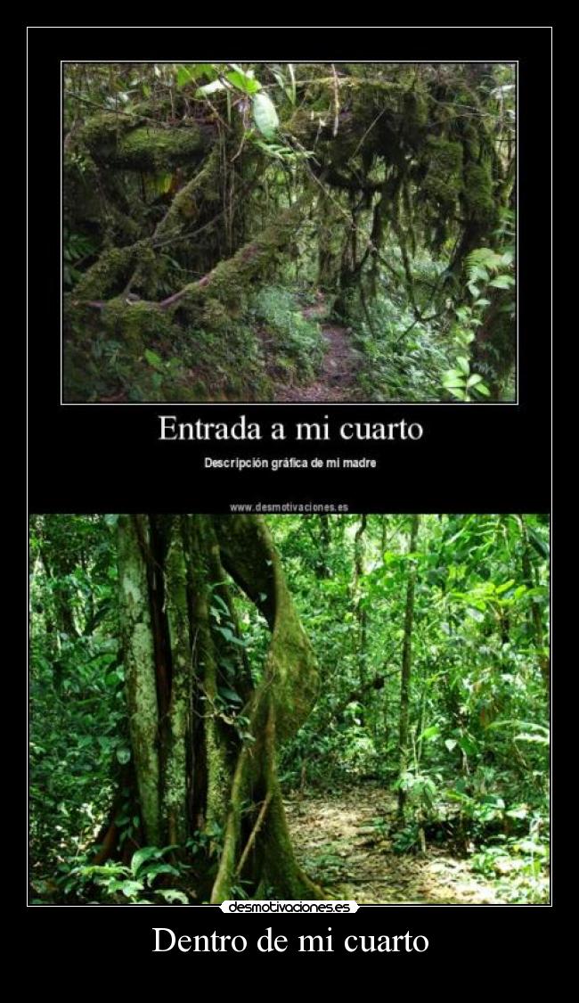 Dentro de mi cuarto -