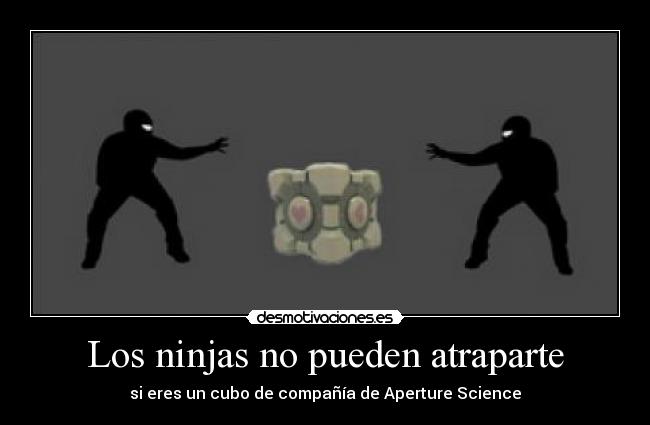 Los ninjas no pueden atraparte - 