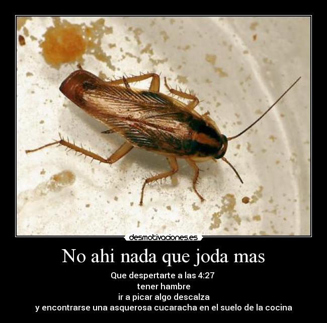 No ahi nada que joda mas - Que despertarte a las 4:27 
tener hambre
ir a picar algo descalza
y encontrarse una asquerosa cucaracha en el suelo de la cocina