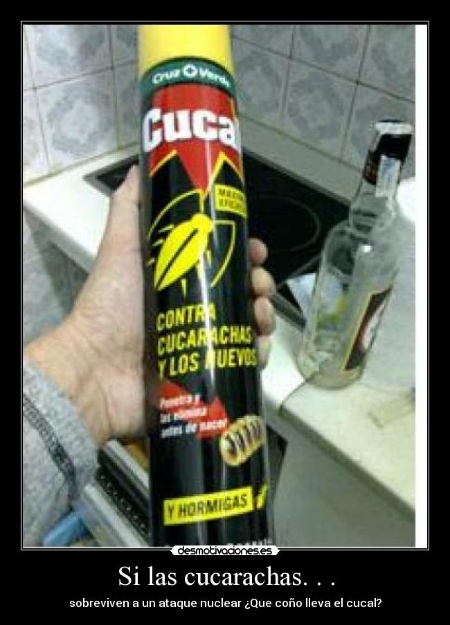 Si las cucarachas. . . - sobreviven a un ataque nuclear ¿Que coño lleva el cucal?