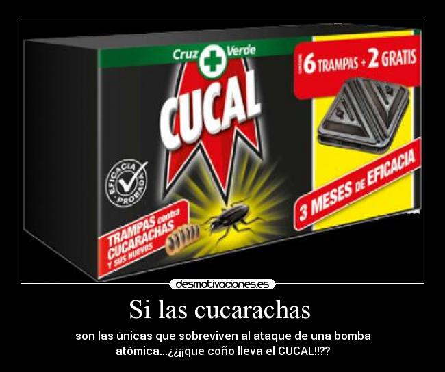 Si las cucarachas - son las únicas que sobreviven al ataque de una bomba
atómica...¿¿¡¡que coño lleva el CUCAL!!??