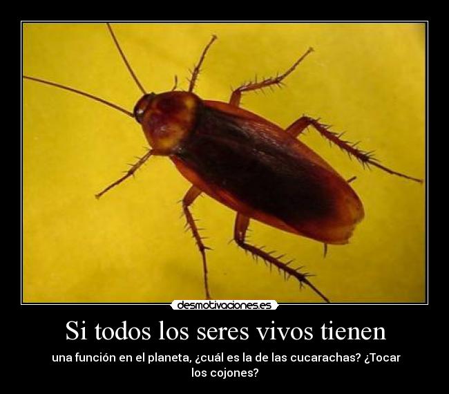 carteles cucarachas funcion planeta desmotivaciones