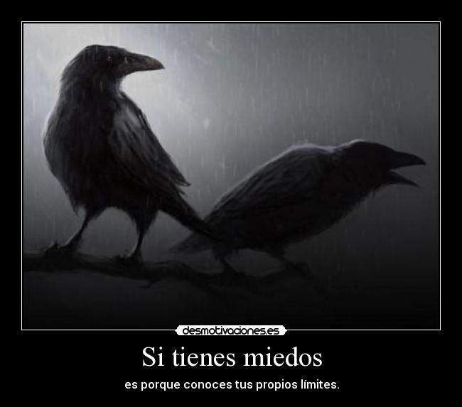 Si tienes miedos - es porque conoces tus propios límites.