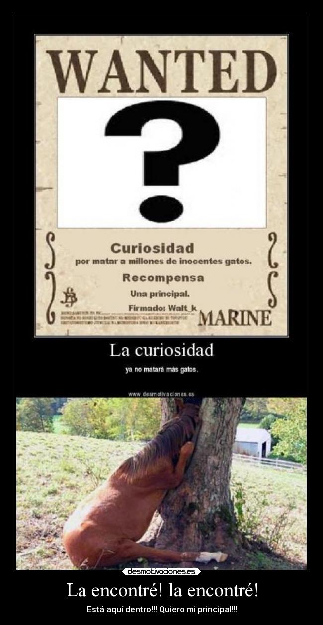 La encontré! la encontré! -