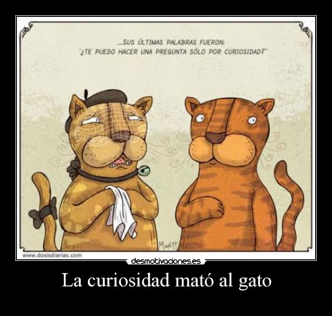 La curiosidad mató al gato -     