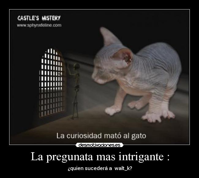 La pregunata mas intrigante : - ¿quien sucederá a  walt_k?