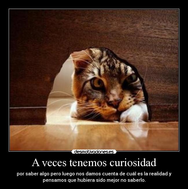A veces tenemos curiosidad -