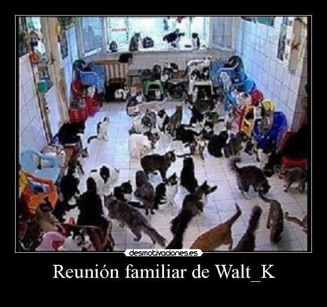 Reunión familiar de Walt_K -