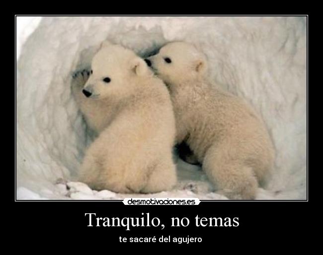 Tranquilo, no temas - te sacaré del agujero