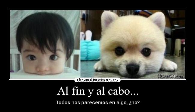 Al fin y al cabo... -