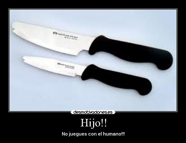 Hijo!! - No juegues con el humano!!!
