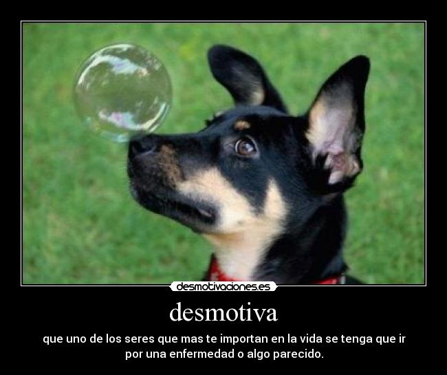 desmotiva - 
