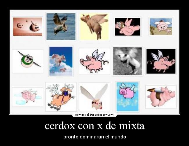 carteles kkkk desmotivaciones