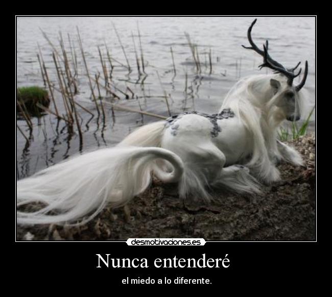 carteles diferente desmotivaciones