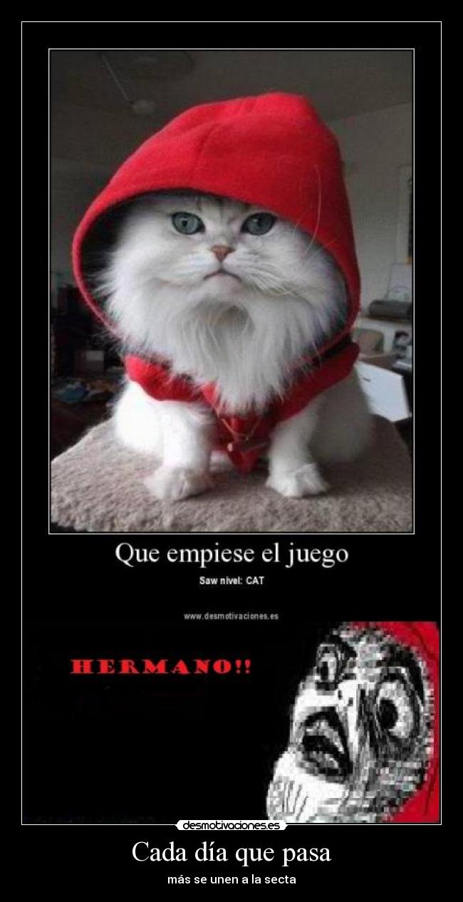 Cada día que pasa - más se unen a la secta