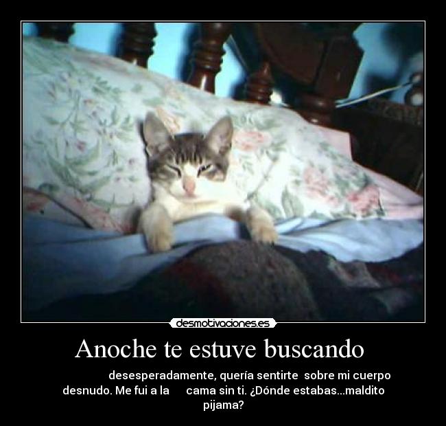 Anoche te estuve buscando  -                    desesperadamente, quería sentirte  sobre mi cuerpo
desnudo. Me fui a la      cama sin ti. ¿Dónde estabas...maldito
pijama?