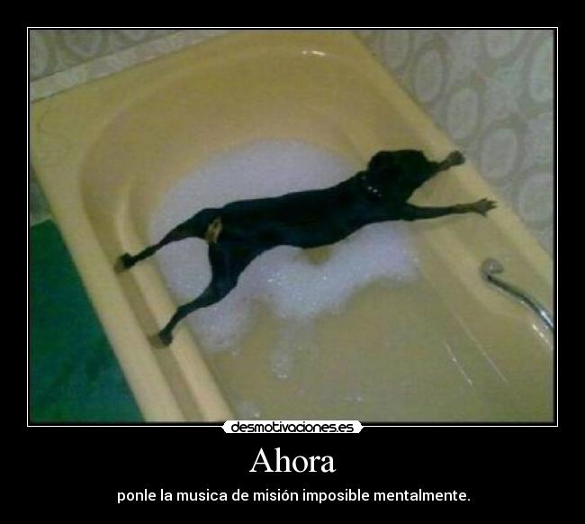 carteles mac686 desmotivaciones