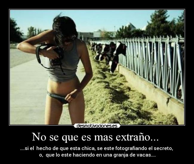 No se que es mas extraño... - ....si el hecho de que esta chica, se este fotografiando el secreto,
o, que lo este haciendo en una granja de vacas....