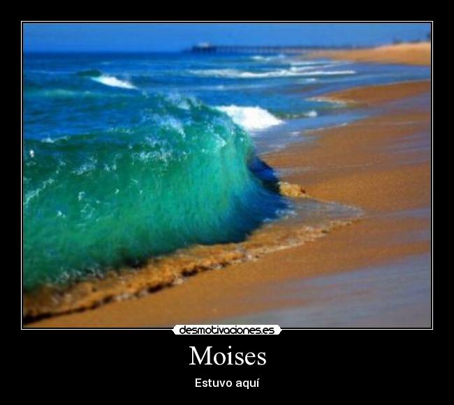 Moises - 