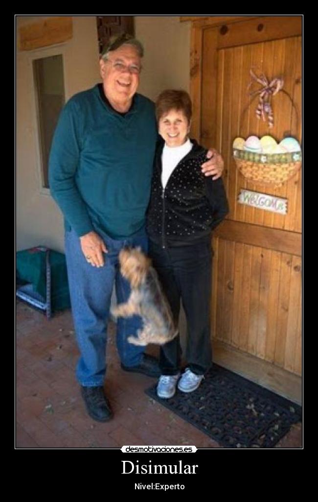 Disimular - Nivel:Experto