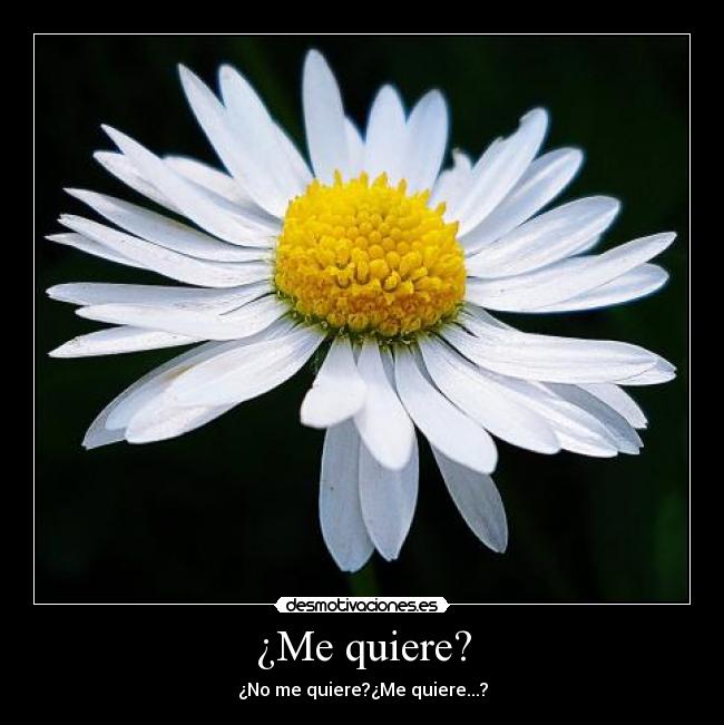¿Me quiere? -
