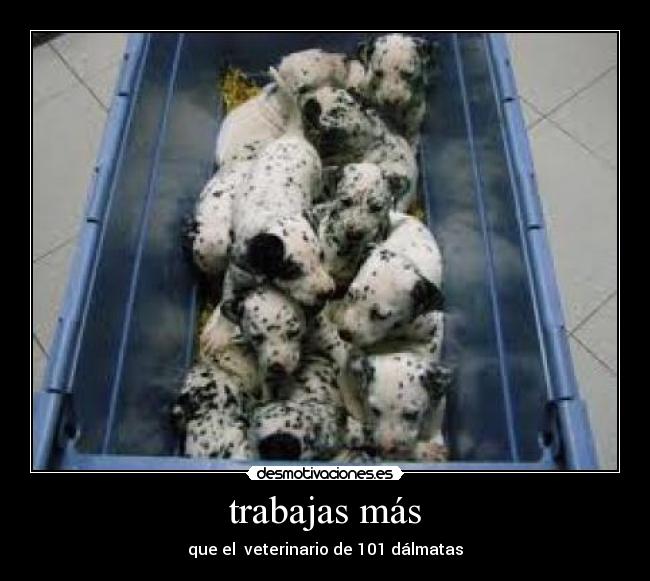 trabajas más - que el veterinario de 101 dálmatas