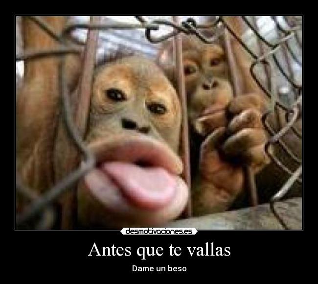 Antes que te vallas - Dame un beso