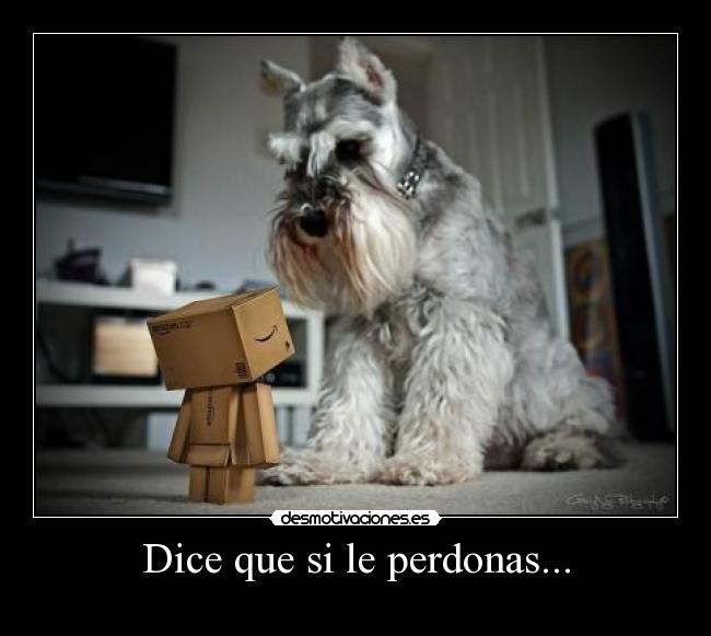 Dice que si le perdonas... -